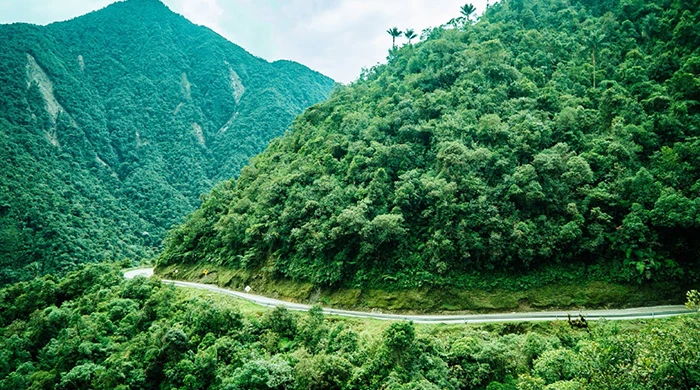 Assessing Colombia’s Article 6 Crediting Space